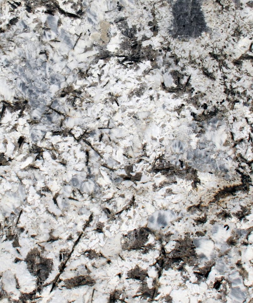 Alaska Blue Flower_Zoom