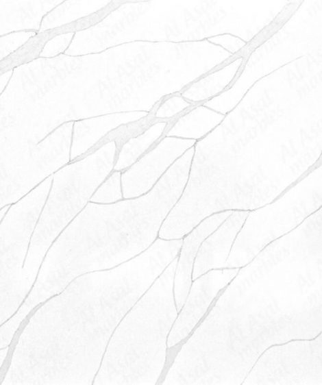 Calacatta Venus Grey