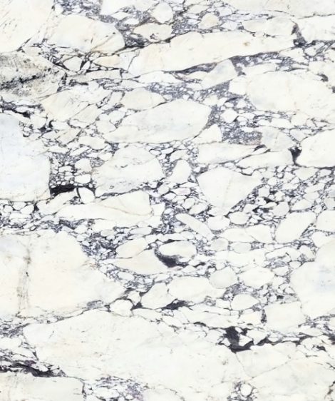 Calacatta Viola Premium 1