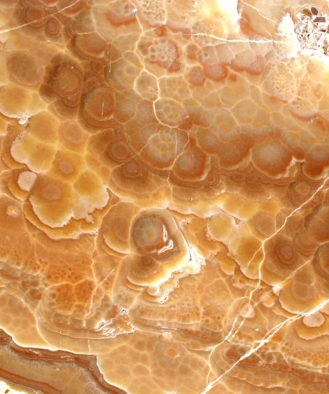 Caramel Onyx CC