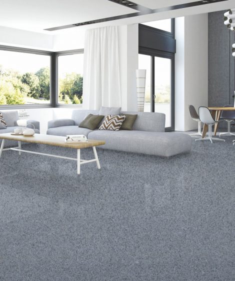 Grey Sardo - Image 2