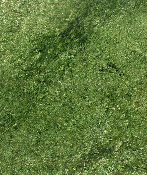 Ming Green
