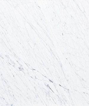 Statuario Venatino Marble