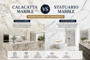 Calacatta vs Statuario Marble comparison showing differences in veining, appearance, and luxury interior applications.